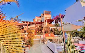 Perro Surfero Hotel Boutique - Todos Santos, BCS